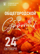 Общегородской субботник.